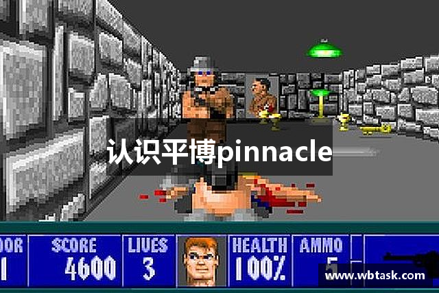 认识平博pinnacle